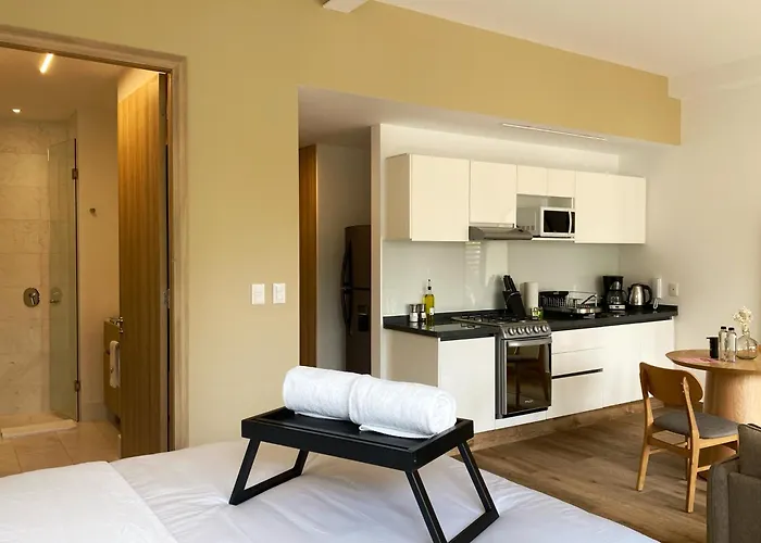 Aparthotel Londres 256 By Wynwood House Mexico City